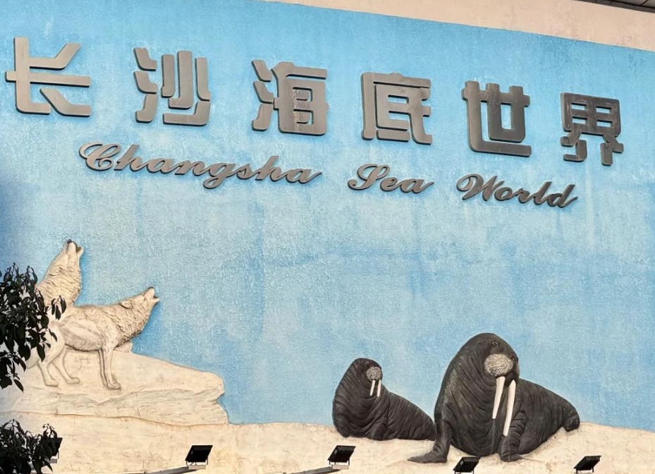 Changsha Changsha Underwater World