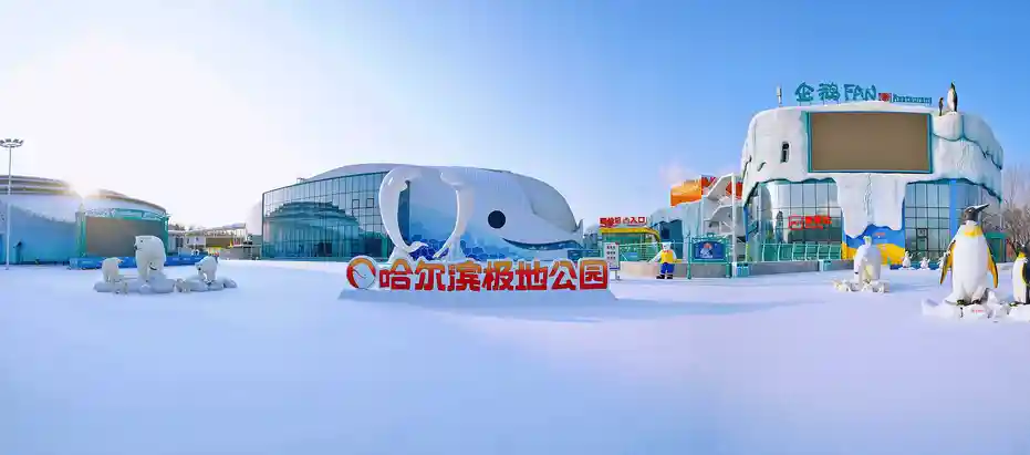 Harbin Polar Park Guide: Everything You Need to Know Before Visiting