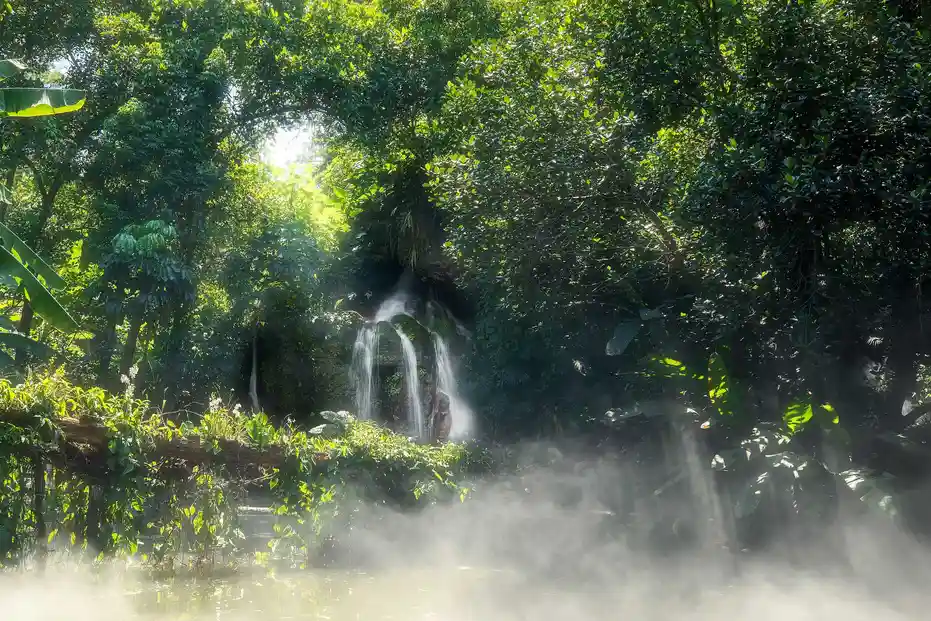 Xiamen Botanical Garden: A Complete Guide for Visitors