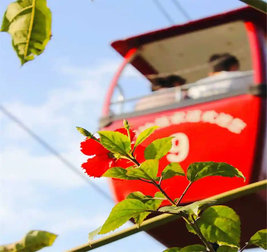 How to Get to Zhonggu Cableway – Tips, Tickets & Opening Hours