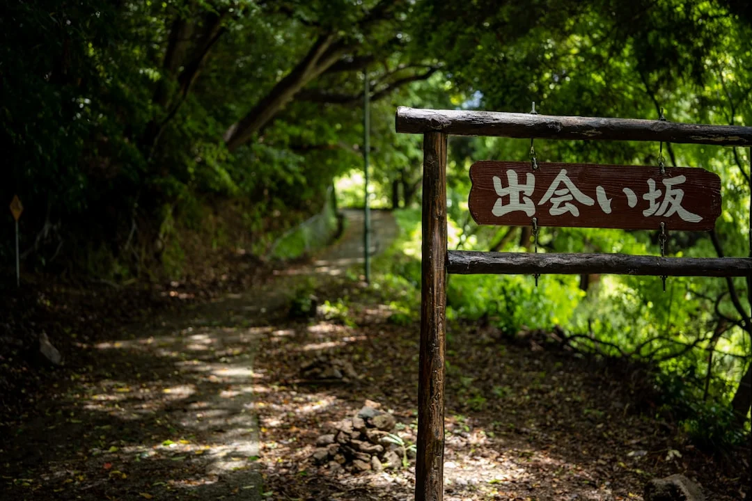 a sign that is in the middle of a forest